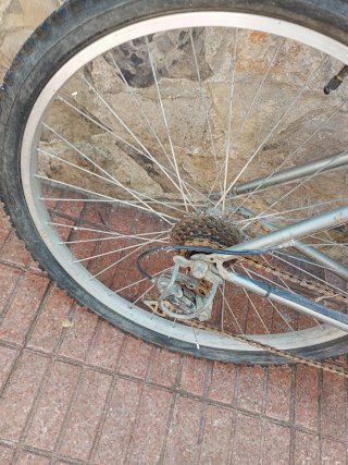 Bicicleta Orbea Gris
