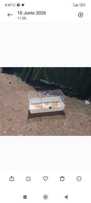 Jaula para hurones y mascotas verde y otra blanca