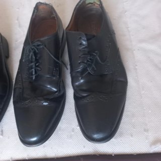 Lote de zapatos negros