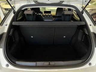 DS DS 3 PureTech 73 kW Manual SO CHIC