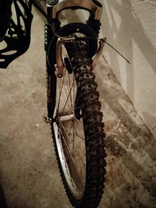 Bicicleta de Montaña