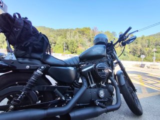 Harley Davidson Iron 883