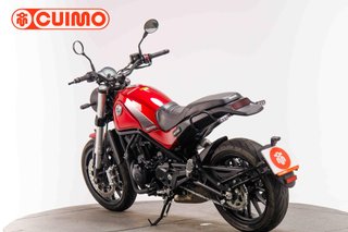 BENELLI LEONCINO 500