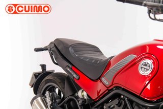 BENELLI LEONCINO 500