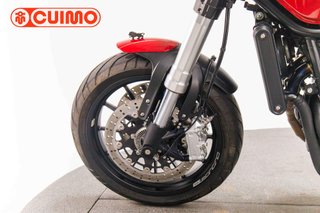 BENELLI LEONCINO 500