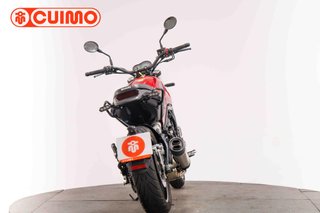 BENELLI LEONCINO 500