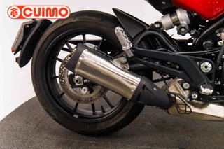 BENELLI LEONCINO 500
