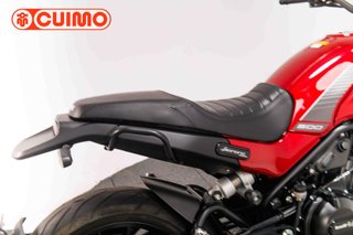 BENELLI LEONCINO 500