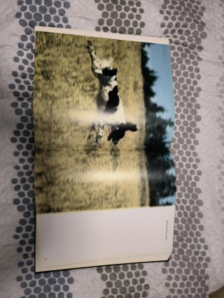 Libro de caza