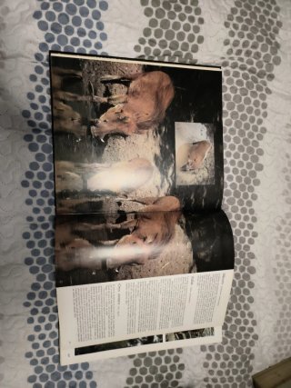 Libro de caza