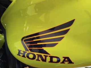 Honda Hornet Amarilla