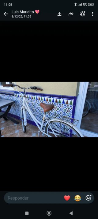 Bicicleta Clásica Blanca