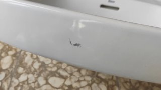 Lavabo Roca Blanco Porcelana