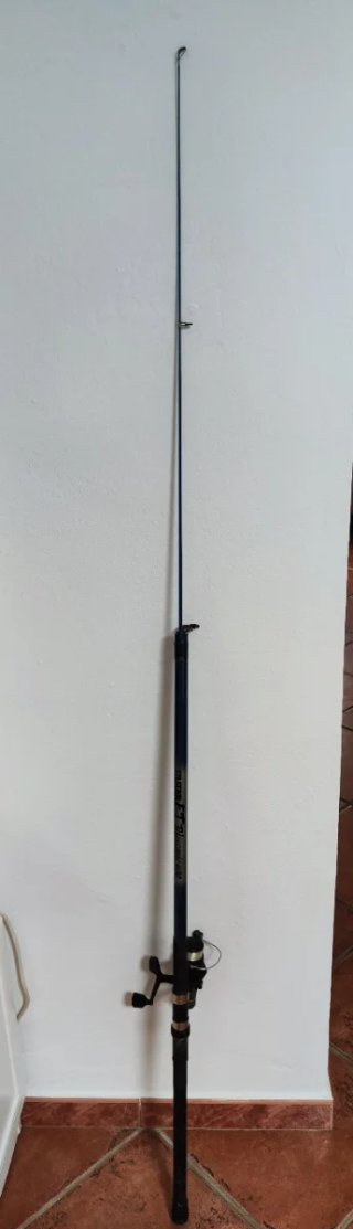 Conjunto de caña de pescar telescópica y carrete