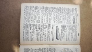 Diccionarios antiguos lengua española 1936 y 1937
