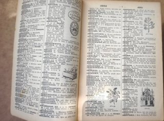 Diccionarios antiguos lengua española 1936 y 1937