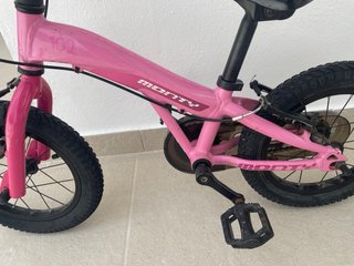 Bicicleta Monty 102 Rosa