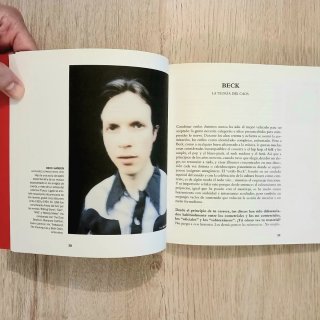 El pop después del fin del pop. Entrevistas