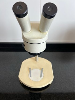 Microscopio Wild Heerbrugg M1