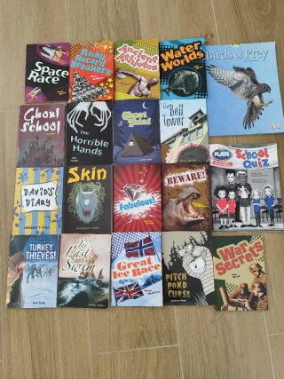 Lote de 19 libros en ingles infantiles: 5-14 años