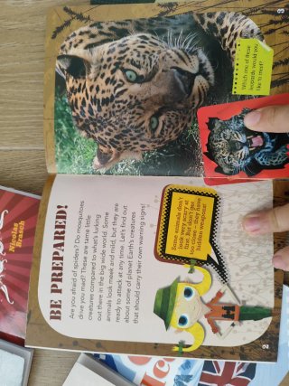 Lote de 19 libros en ingles infantiles: 5-14 años