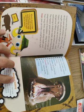 Lote de 19 libros en ingles infantiles: 5-14 años