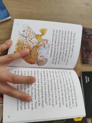 Lote de 19 libros en ingles infantiles: 5-14 años
