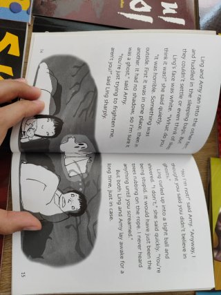 Lote de 19 libros en ingles infantiles: 5-14 años