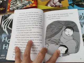 Lote de 19 libros en ingles infantiles: 5-14 años