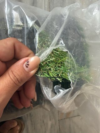 Césped artificial para jardín 2x6