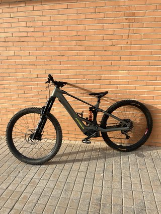 Orbea Wild E-Bike