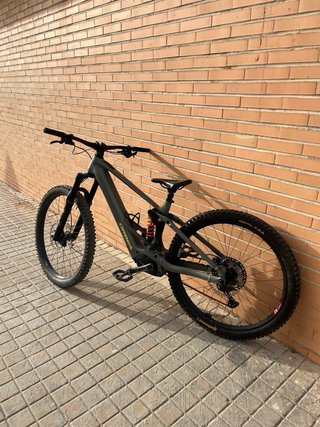Orbea Wild E-Bike