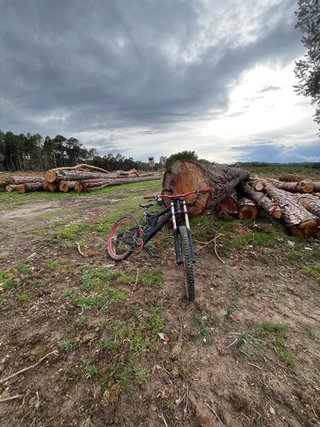 Bicicleta Specialized DH