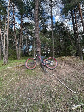 Bicicleta Specialized DH