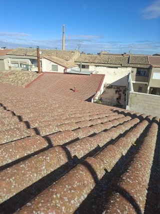 Chalet en venta en Luceni