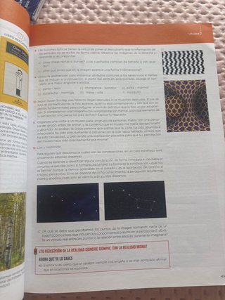Filosofía 1 bachillerato