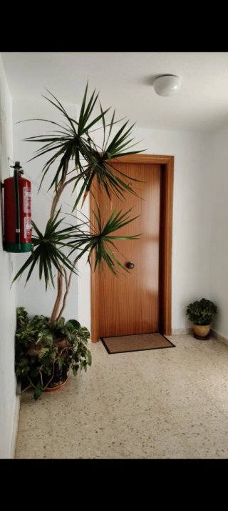 Piso con plaza de garaje y trastero, amueblada