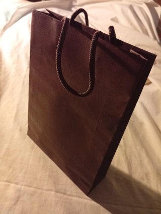Bolsa Louis Vuitton Marrón