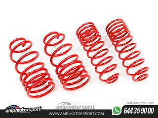 MUELLES DEPORTIVOS MTS TECHNIK MTSXPE023