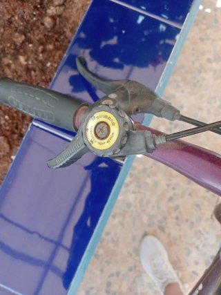 Bicicleta infantil morada