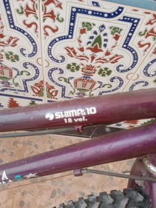 Bicicleta infantil morada