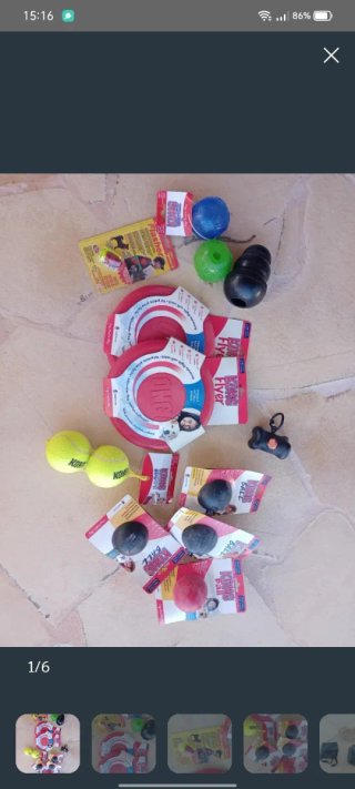 Lote Accesorios para Perros Kong