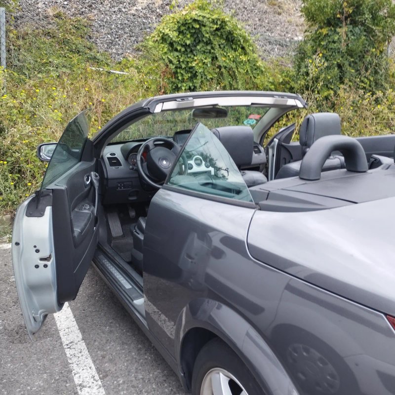Renault Megane 2004 - foto 1