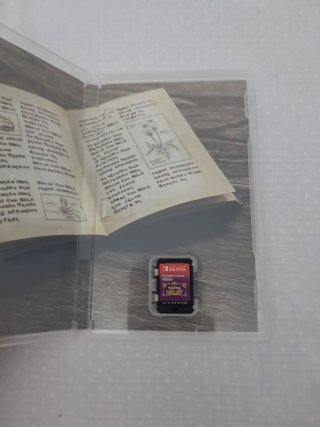 Pokemon Púrpura Nintendo Switch
