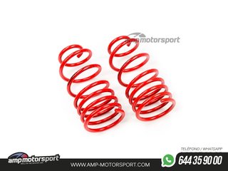 MUELLES DEPORTIVOS MTS TECHNIK MTSXPE008