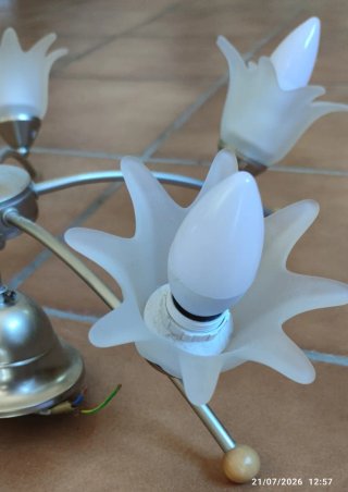 Lámpara de techo 5 brazos floral