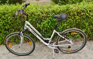 Bicicleta Trek Shift-2 Plata