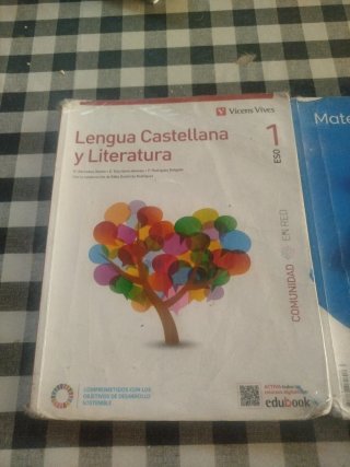 Libros de 1 ESO de Lengua ECONÓMICO