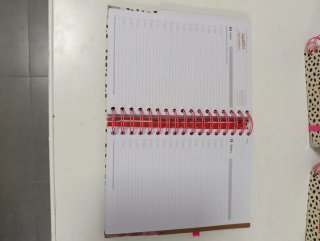 Agenda Mr Wonderful 2026