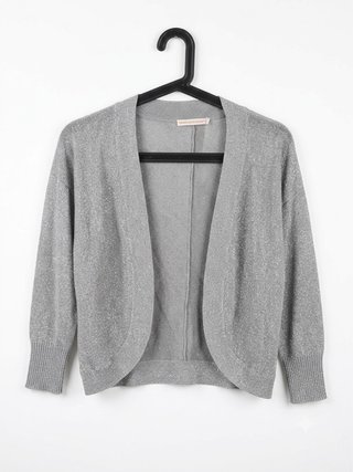 Chaqueta plateada brillante